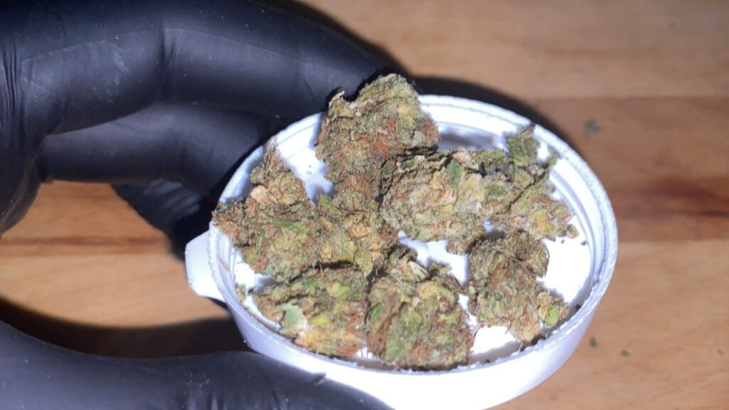 Susz CBD od Cannabisland