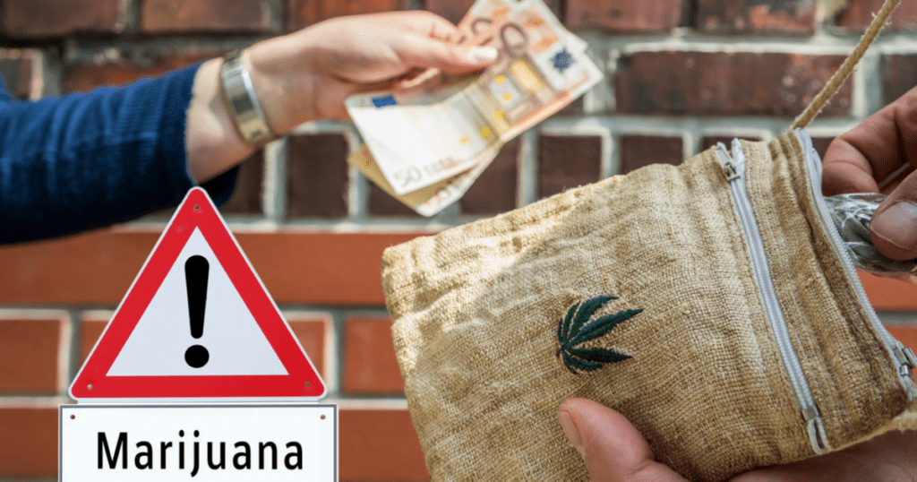 Marihuana legalna w Niemczech