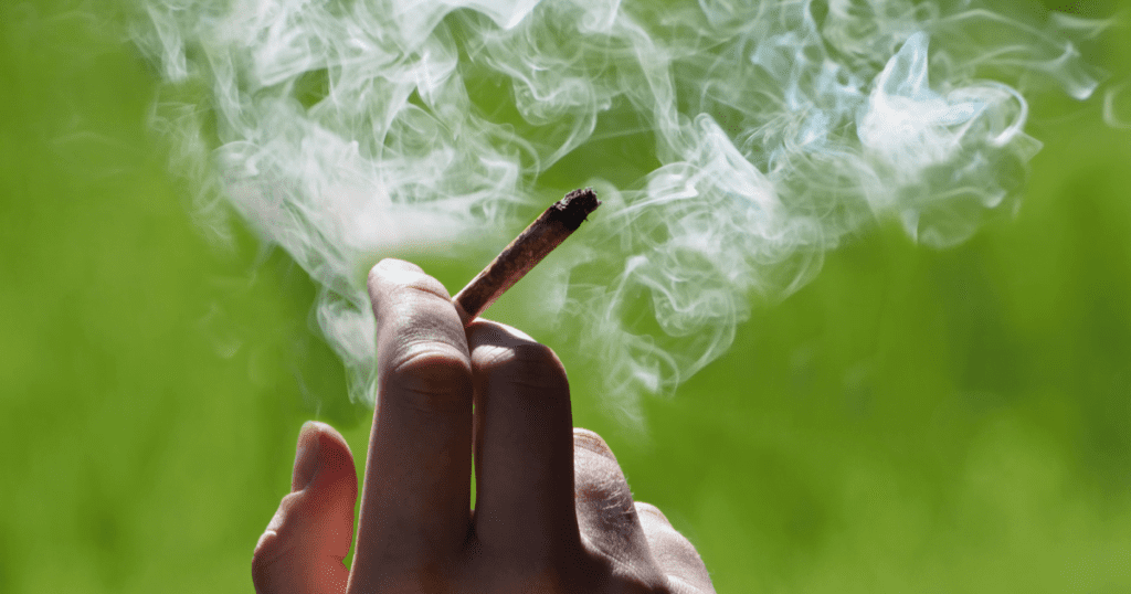 Włosi zalegalizują marihuanę