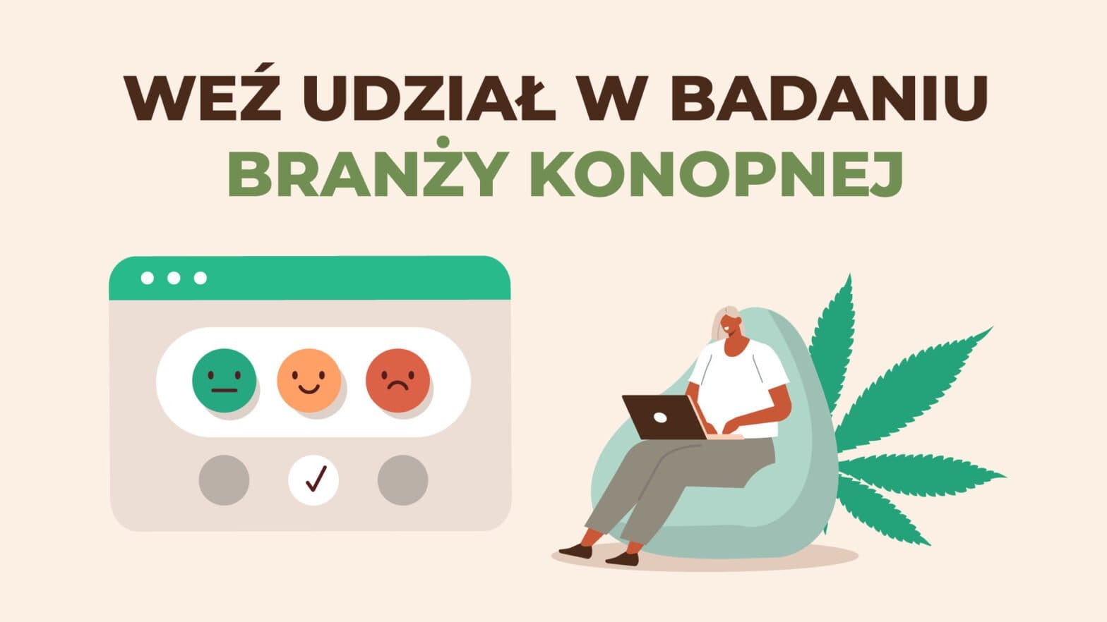 badanie polskiego rynku konopnego - infografika