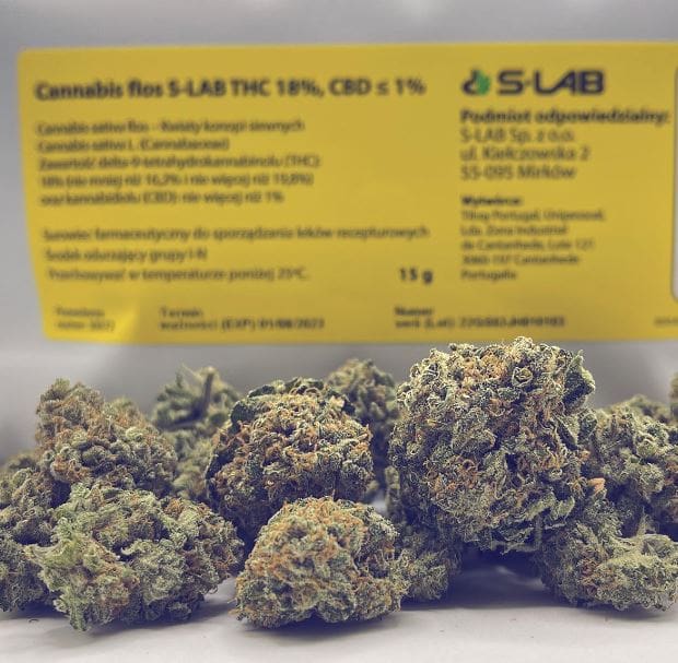 susz jack herer od s-lab