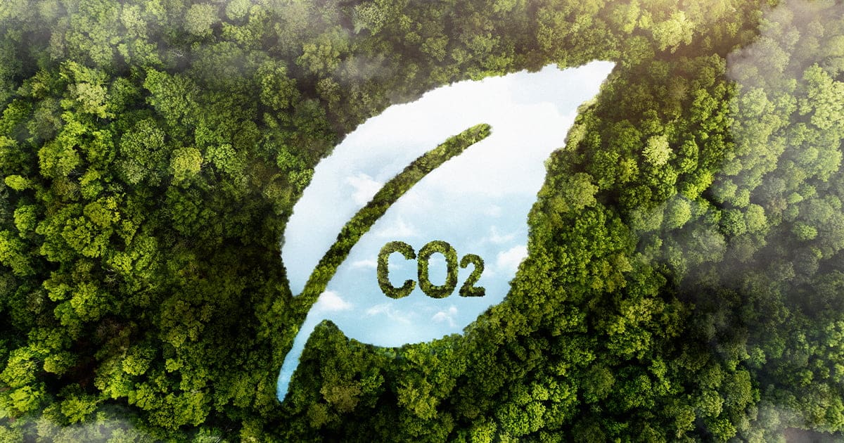 Suplementacja CO2 może przynieść znaczące korzyści