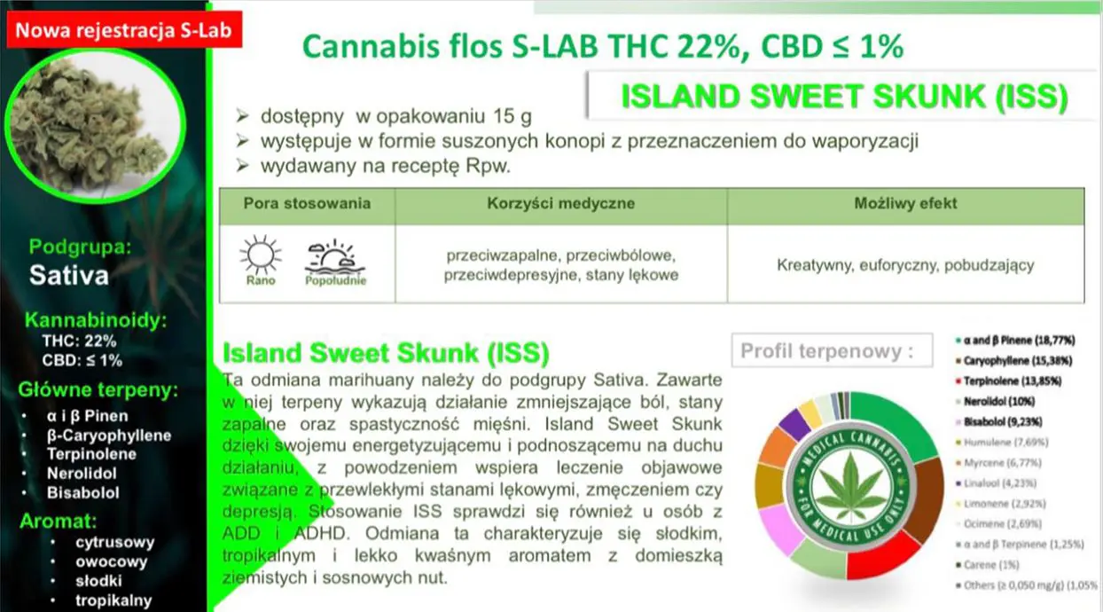 charakterystyka nowej odmiany medycznej marihuany Island Sweet Skunk