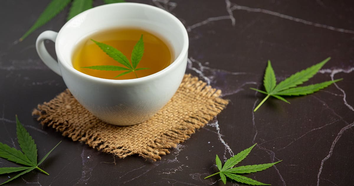 Herbata z konopią stała się popularna w wielu krajach dzięki swoim korzyściom zdrowotnym oraz wyjątkowemu smakowi.