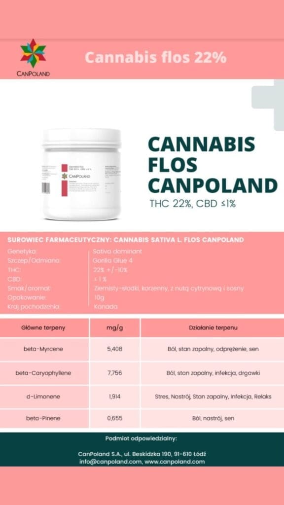 medyczna marihuana firmy CanPoland odmiana Gorilla Glue #4