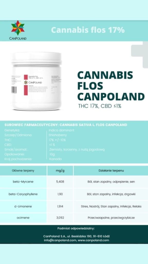 medyczna marihuana firmy CanPoland odmiana shishkaberry