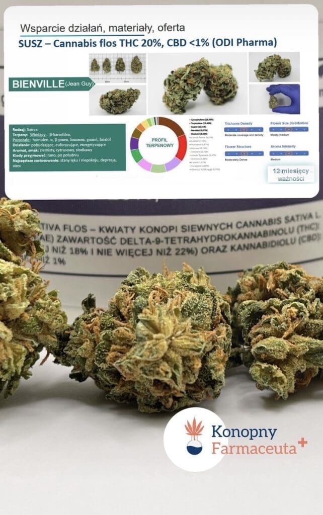 szczegółowe informacje na temat nowej medycznej marihuany