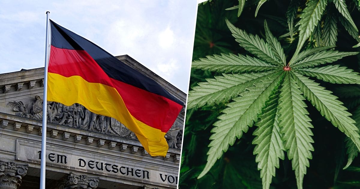 flaga niemiec i marihuana