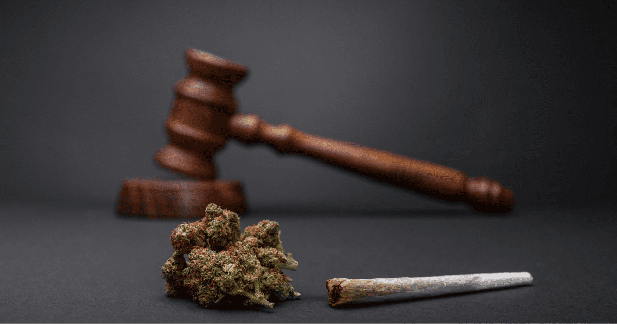 wyrok za posiadanie marihuany