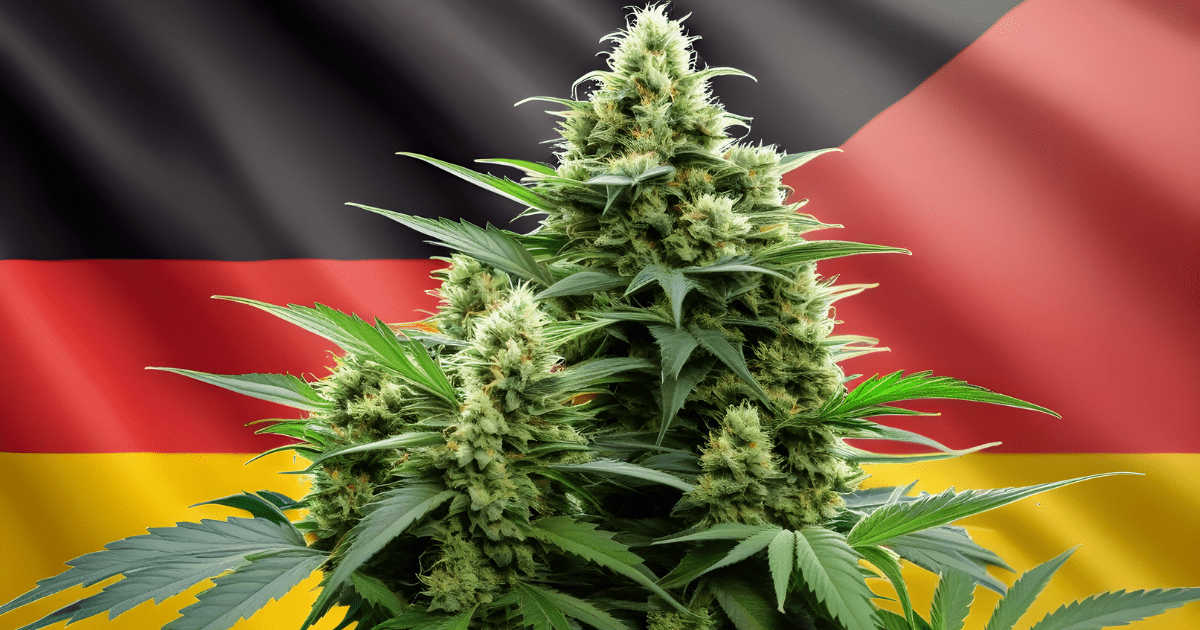 leczenie marihuana Niemcy