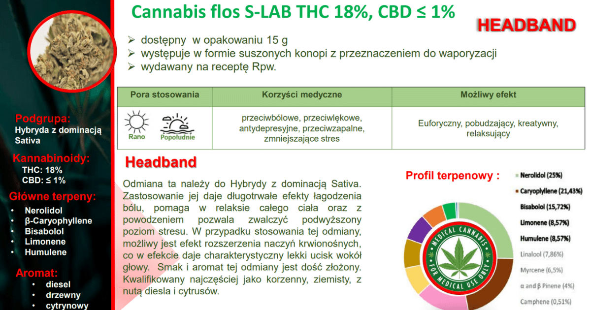 Headband S-lab