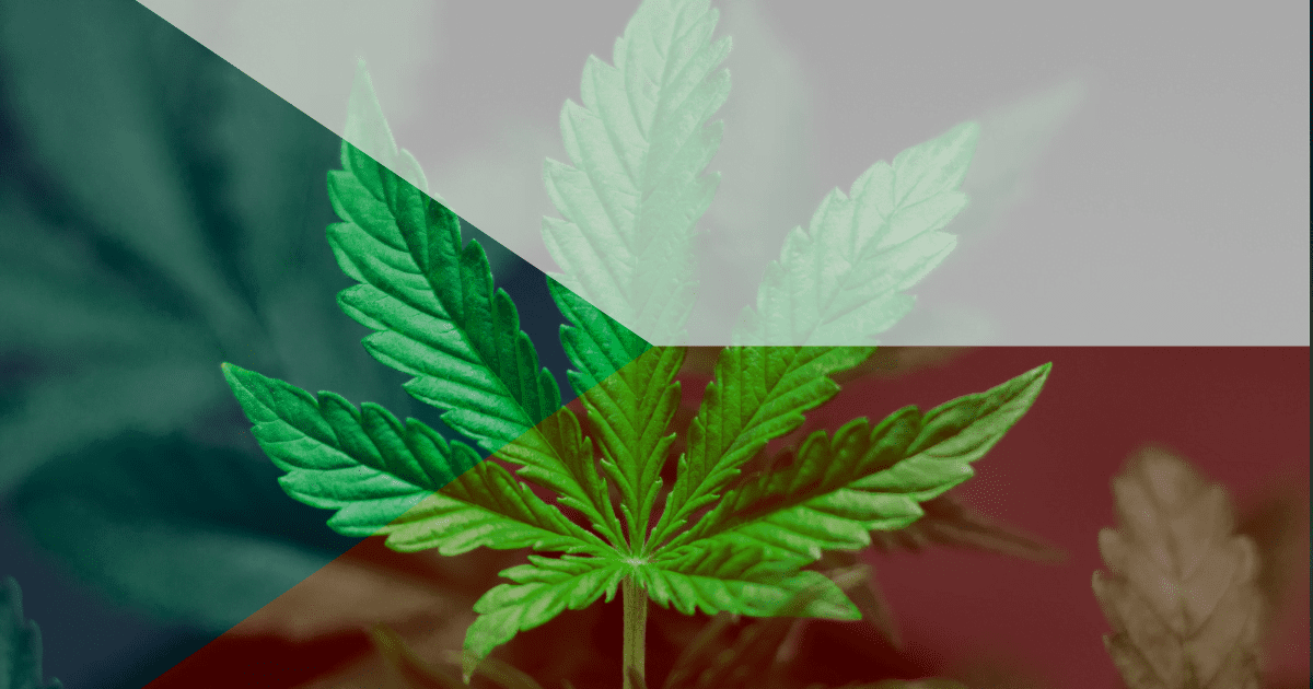 Czechy legalizacja marihuany konopie indyjskie