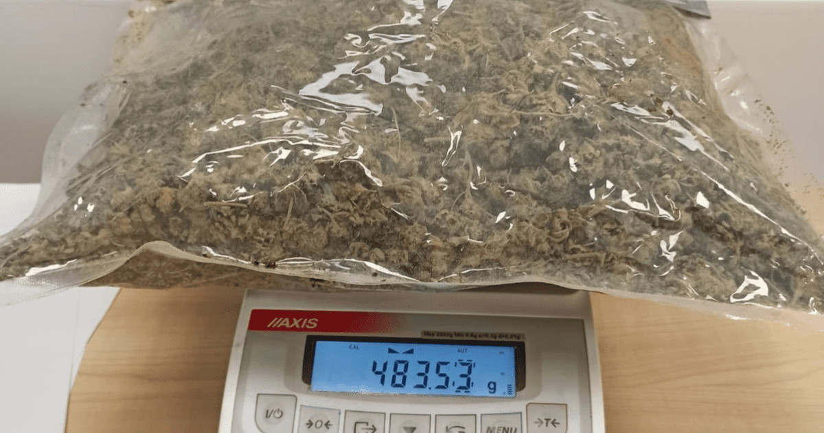 wiadomości marihuana