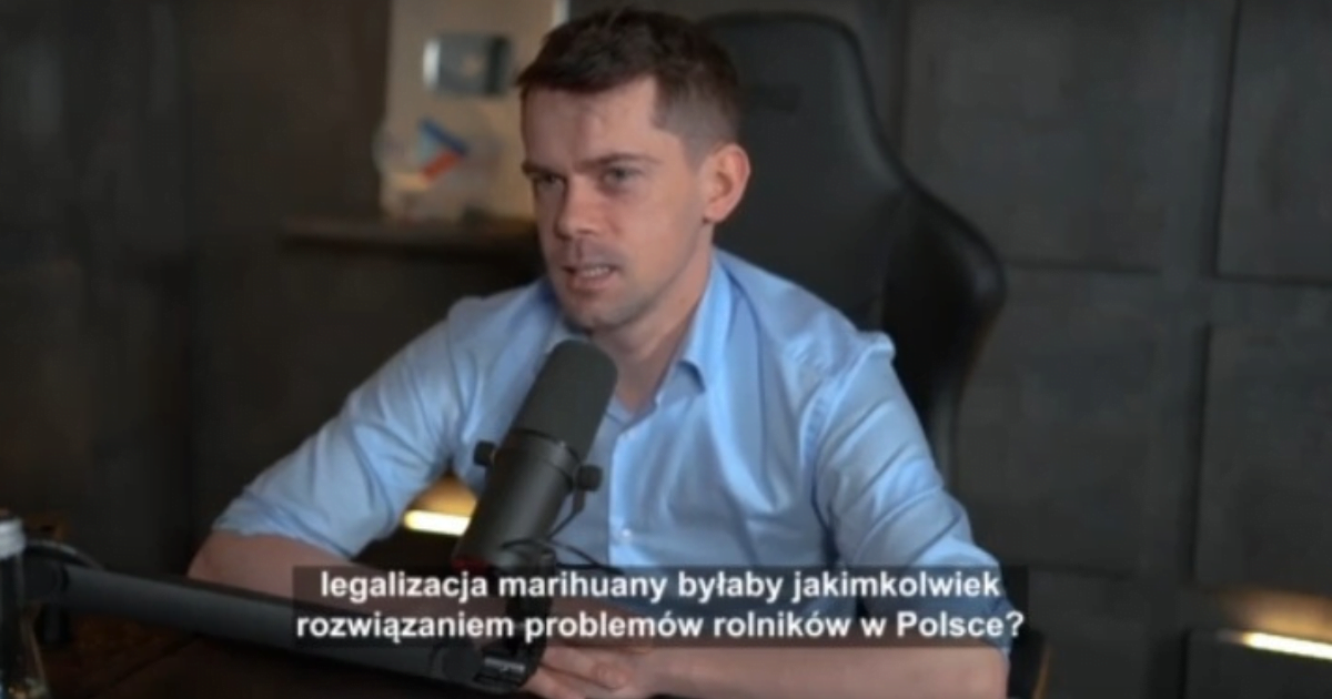 Kołodziejczak marihuana