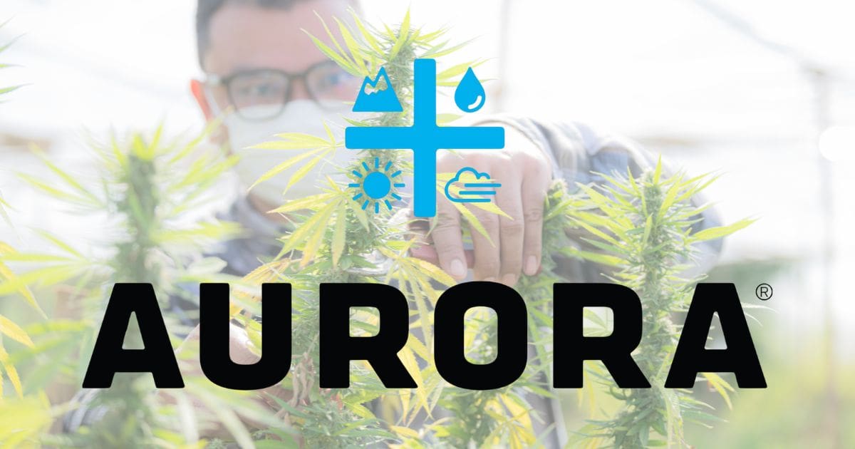 logo firmy aurora cannabis