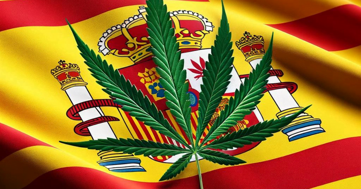 medyczna marihuana w Hiszpanii