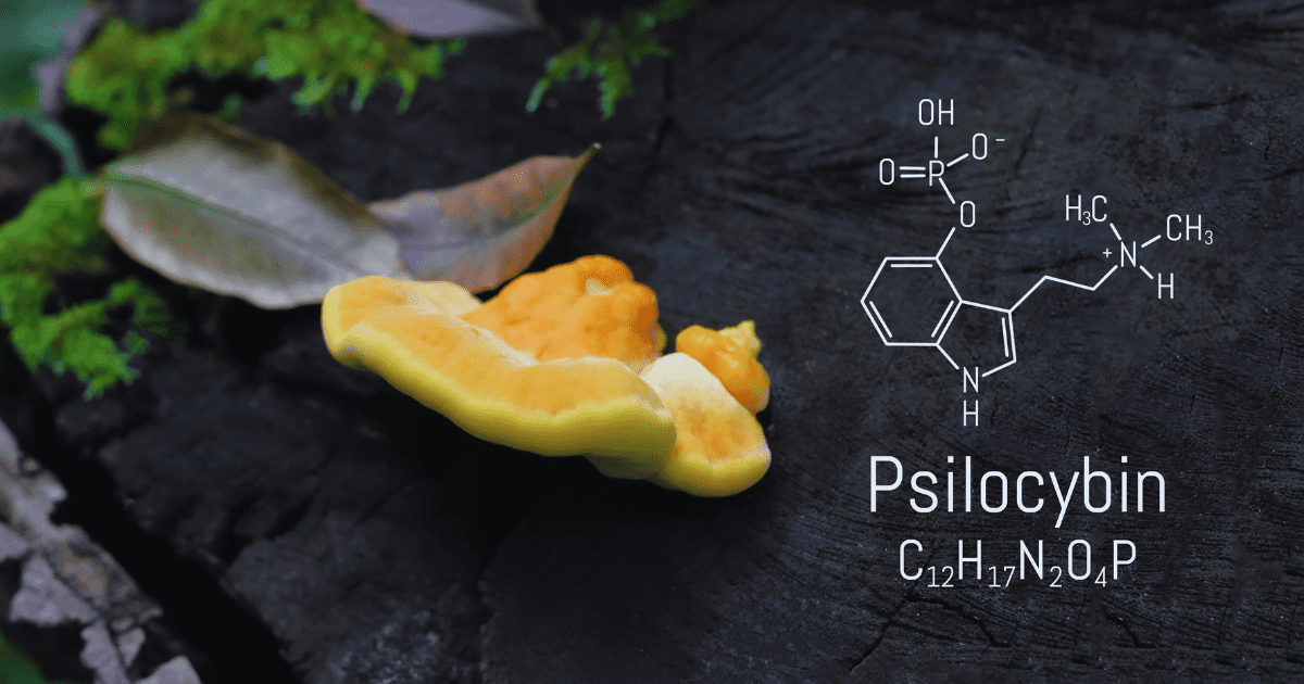 psylocybina