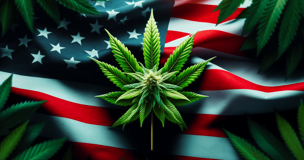 USA marihuana