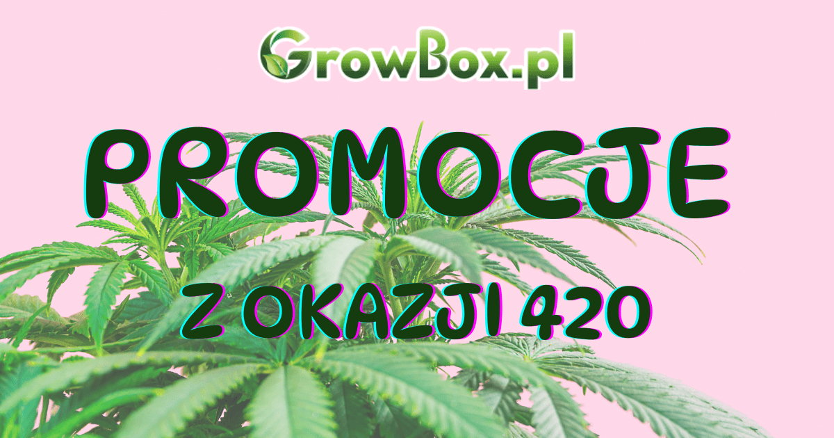 420 promocje