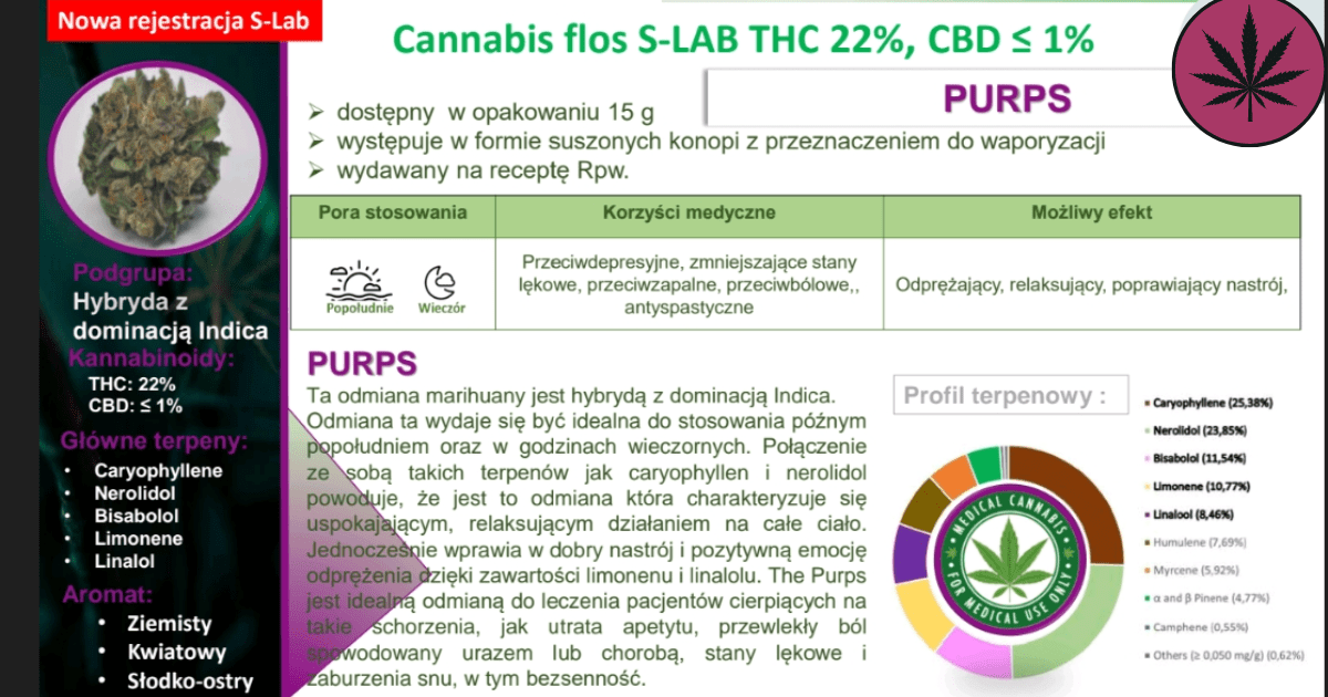 Purps – opis odmiany medycznej marihuany Cannabis Flos THC 22% CBD ≤1% ...