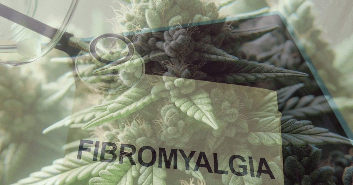 marihuana a fibromialgia