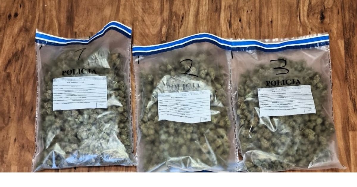 1,5 kg marihuany w policyjnych dowodach