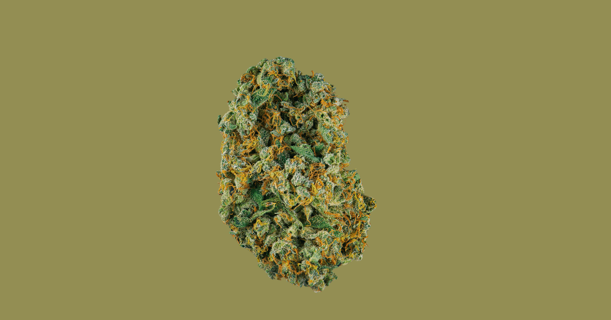 Jack Herer