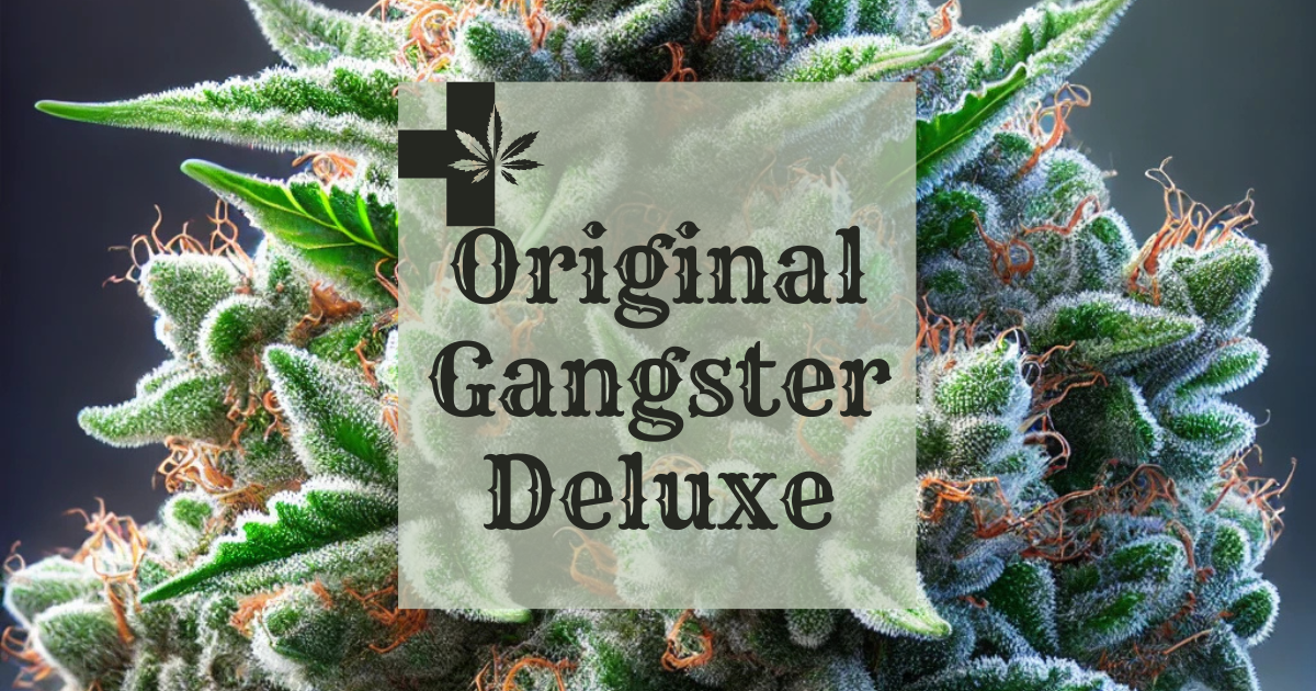 Original Gangster Deluxe