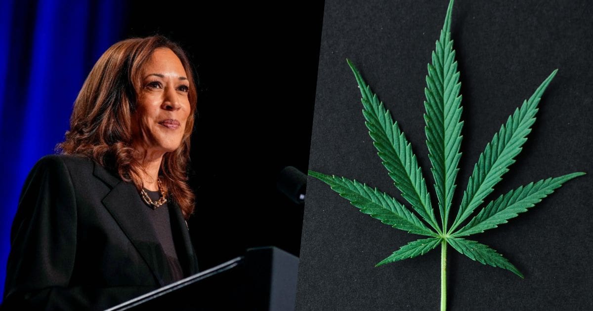 Kamala Harris i marihuana